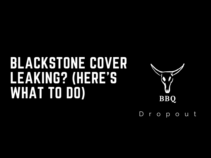 Blackstone Cover Leaking? (Here’s What To Do)