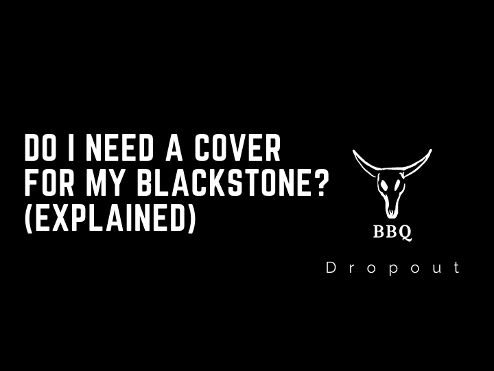 Do I Need A Cover For My Blackstone? (Explained)