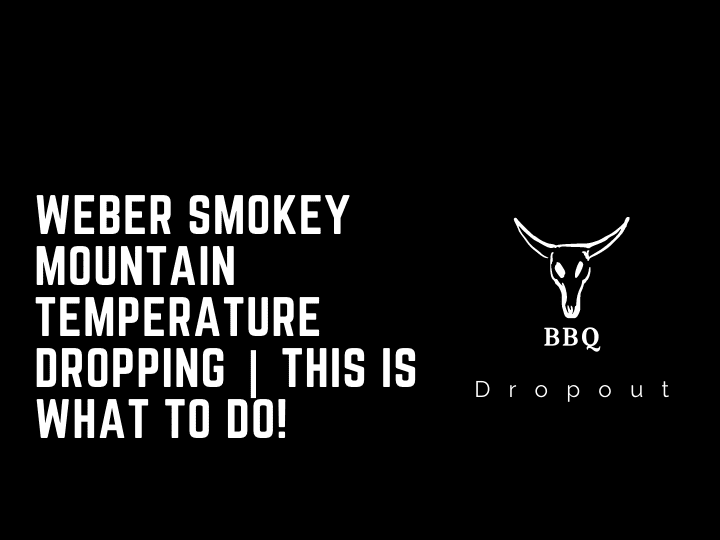 Weber Smokey Mountain Temperature Dropping | This is what to do!