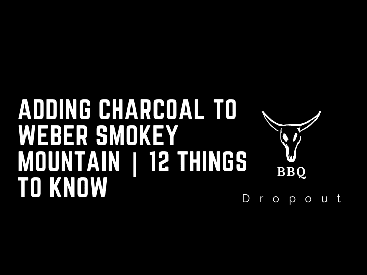 Adding Charcoal To Weber Smokey Mountain | 12 Things To Know