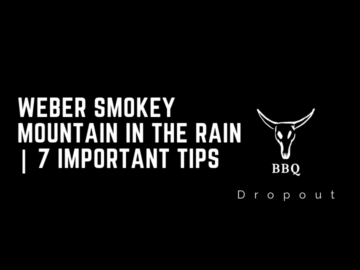 Weber Smokey Mountain In The Rain | 7  Important Tips