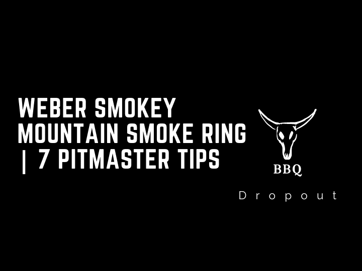 Weber Smokey Mountain Smoke Ring | 7 PITMASTER TIPS