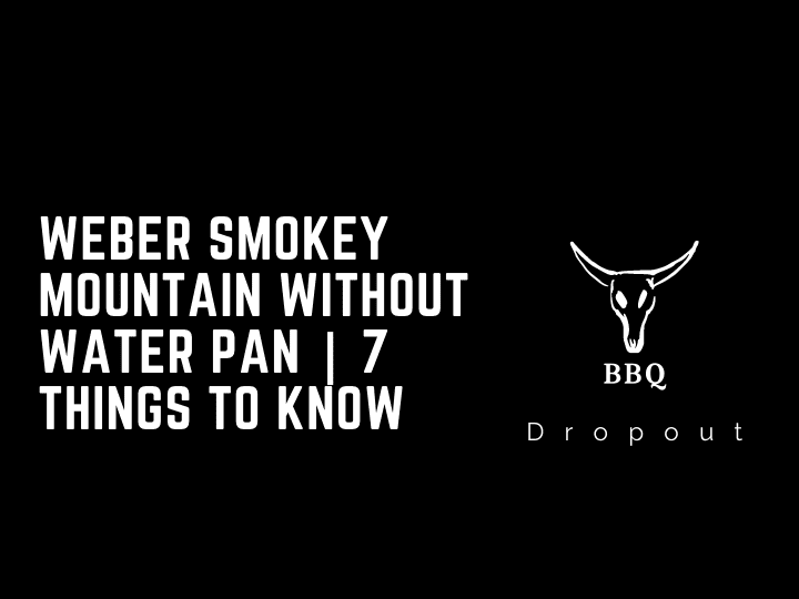 Weber Smokey Mountain Without Water Pan | 7 Things To Know
