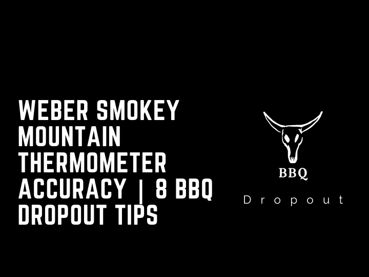 Weber Smokey Mountain Thermometer Accuracy | 8 BBQ DROPOUT TIPS