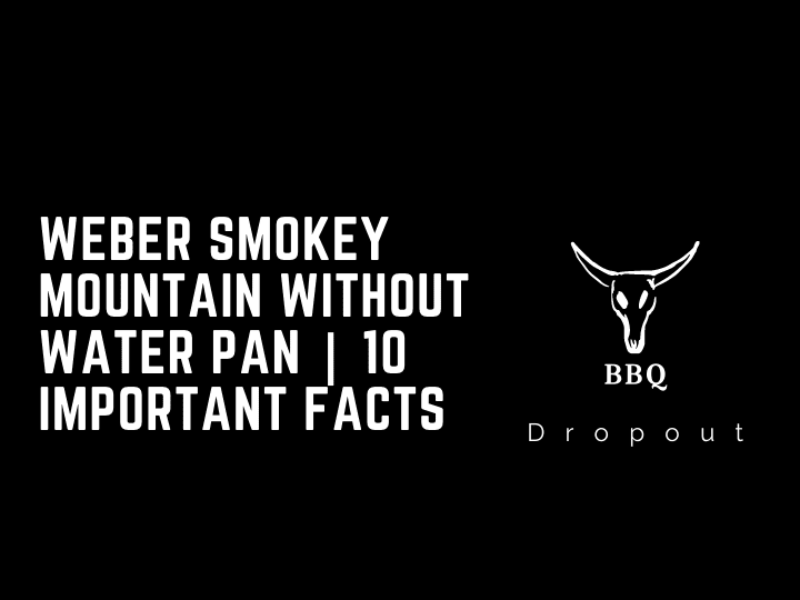 Weber Smokey Mountain Without Water Pan | 10 Important Facts