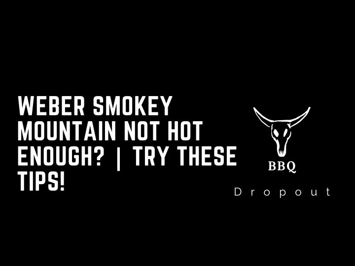 Weber Smokey Mountain Not Hot Enough? | Try These Tips!