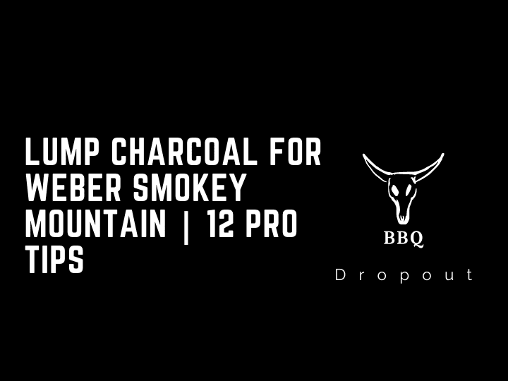 Lump Charcoal For Weber Smokey Mountain | 12 PRO TIPS