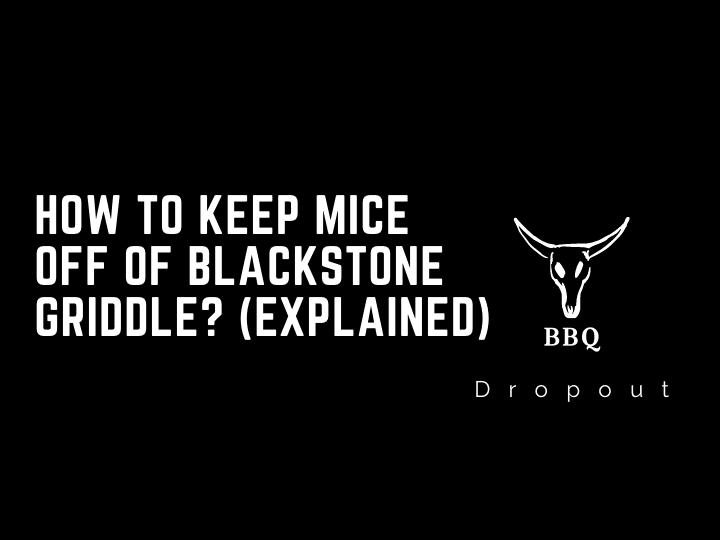 How To Keep Mice Off Of Blackstone Griddle? (Explained)