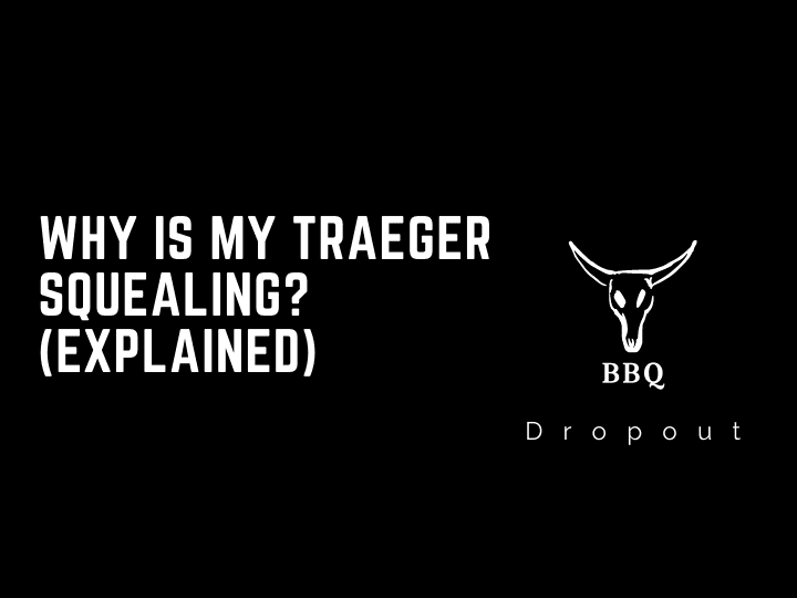 Why is my traeger squealing? (Explained)