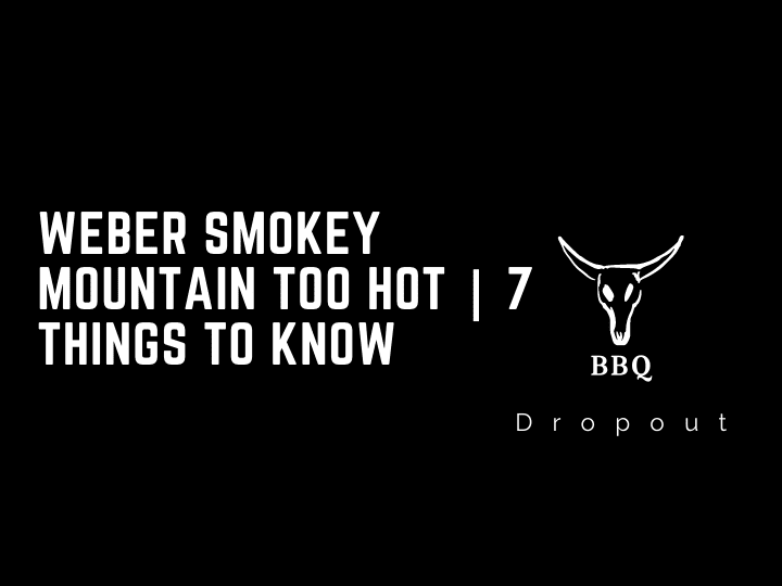 Weber Smokey Mountain Too Hot | 7 Things To Know