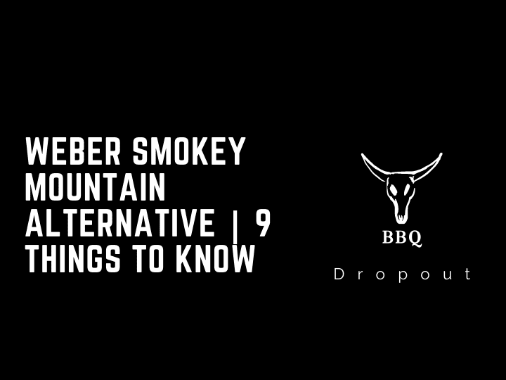 Weber Smokey Mountain Alternative | 9 Things To Know