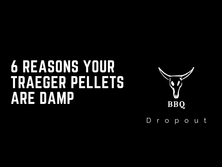6 Reasons Your Traeger Pellets Are Damp