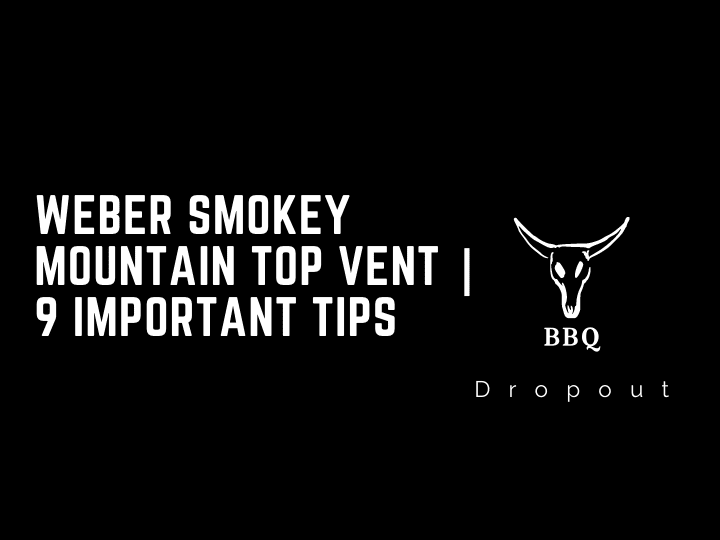 Weber Smokey Mountain Top Vent | 9 Important Tips