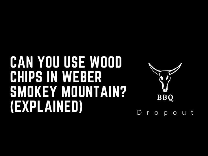 Can You Use Wood Chips In Weber Smokey Mountain? (Explained)
