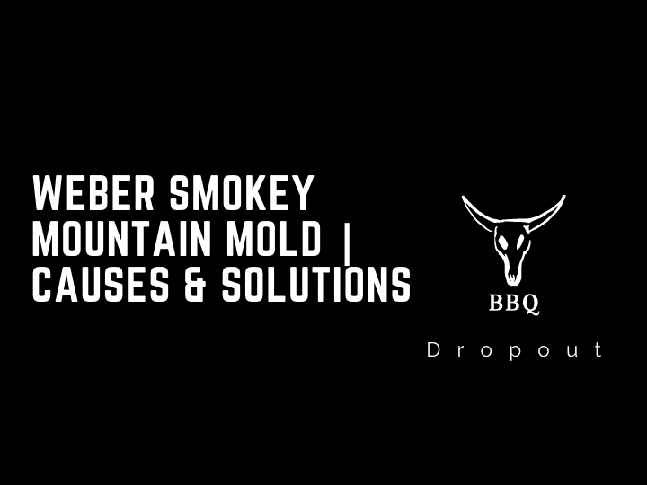 Weber Smokey Mountain Mold | Causes & Solutions
