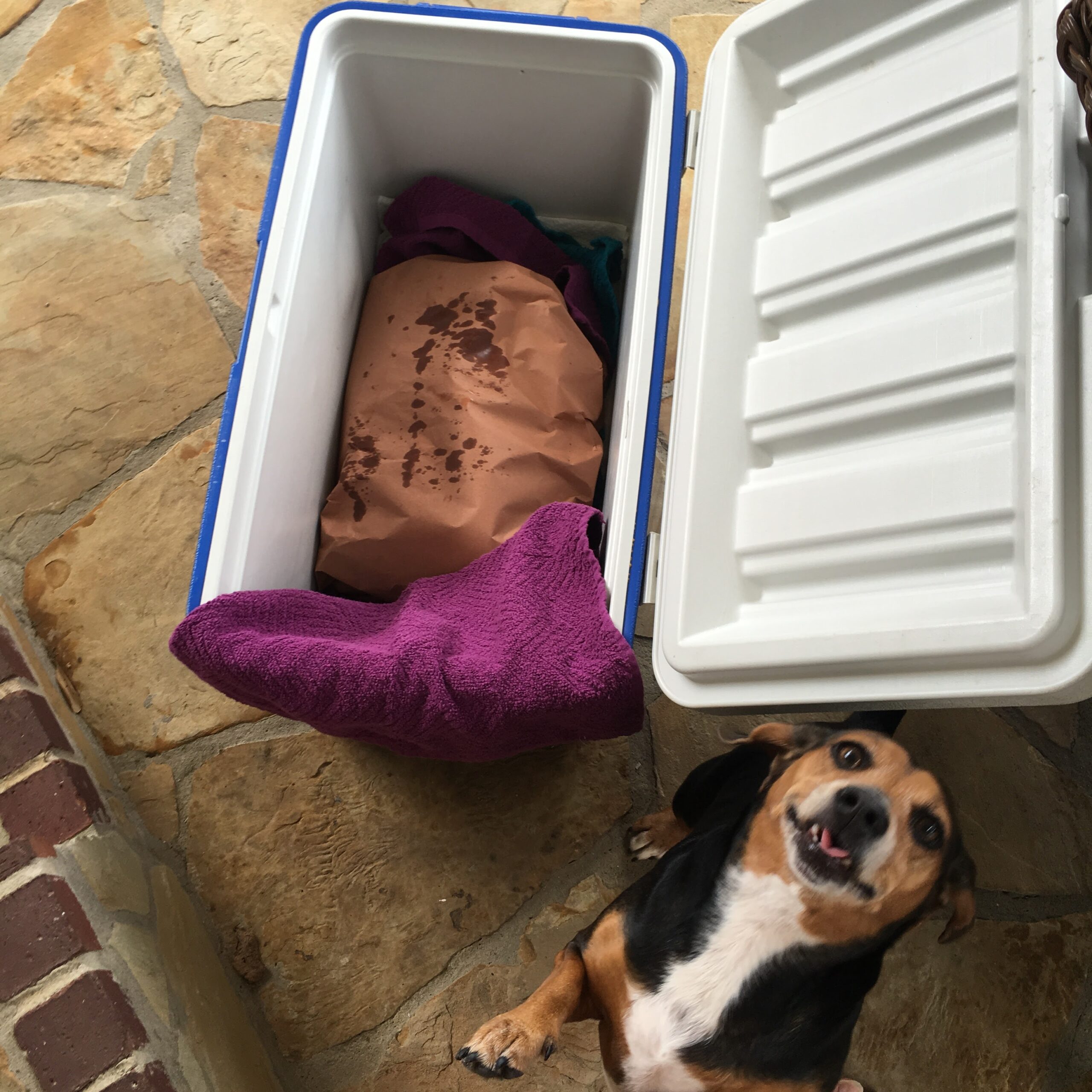 7 Tips On Resting Brisket In Coolers For Long Periods!
