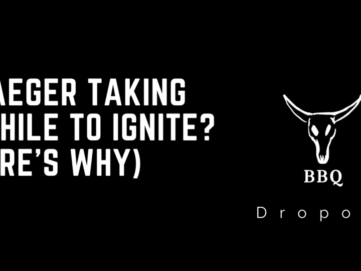 Traeger Taking Awhile To Ignite? (Here’s Why)
