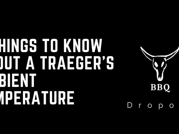 8 Things To Know About A Traeger’s Ambient Temperature 