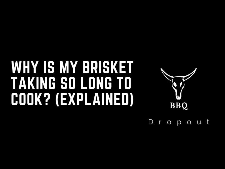 Why is my brisket taking so long to cook? (Explained)