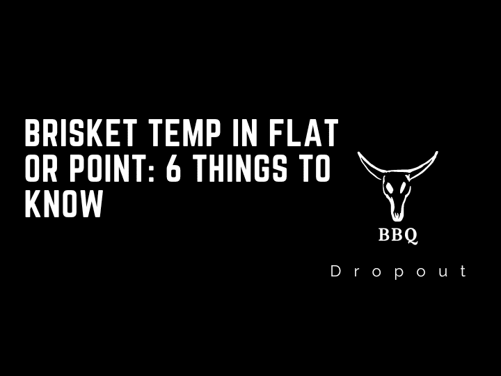 Brisket Temp In Flat Or Point: 6 Things To Know