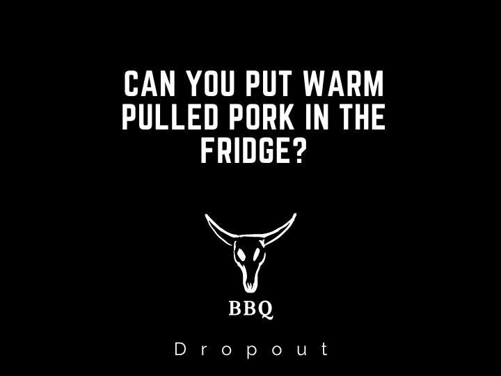 Can You Put Warm Pulled Pork in the Fridge?