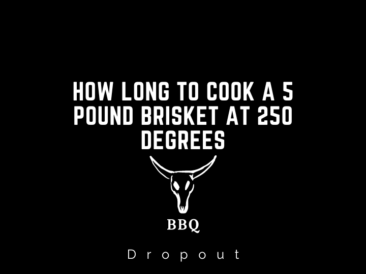 How Long To Cook A 5 Pound Brisket At 250 Degrees