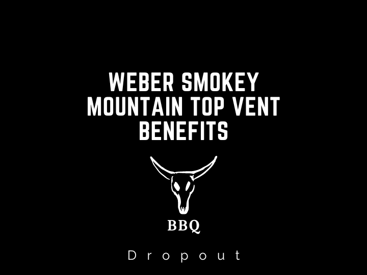 Weber Smokey Mountain Top Vent Benefits