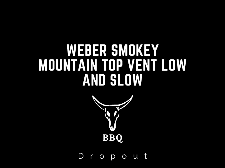 Weber Smokey Mountain Top Vent Low And Slow