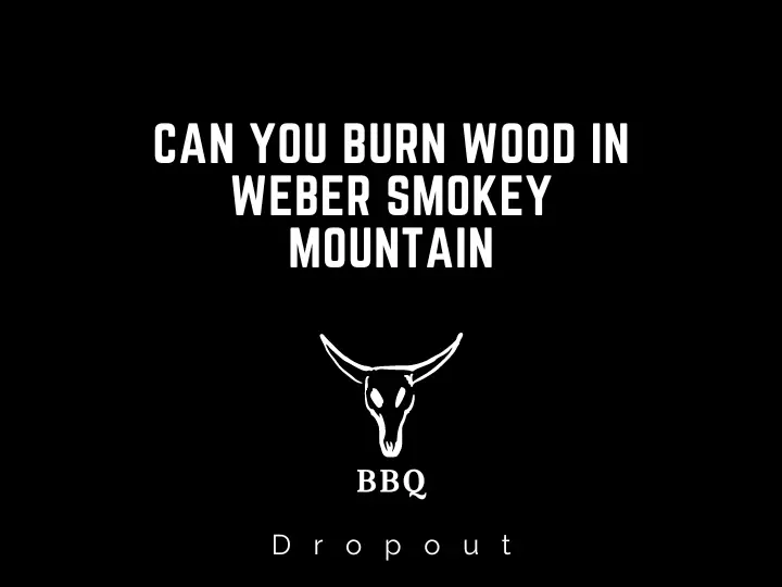 Can You Burn Wood In Weber Smokey Mountain