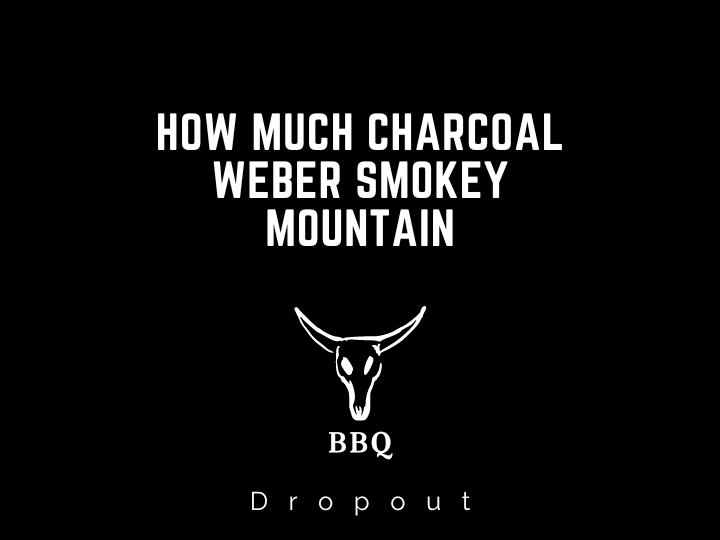 How Much Charcoal Weber Smokey Mountain