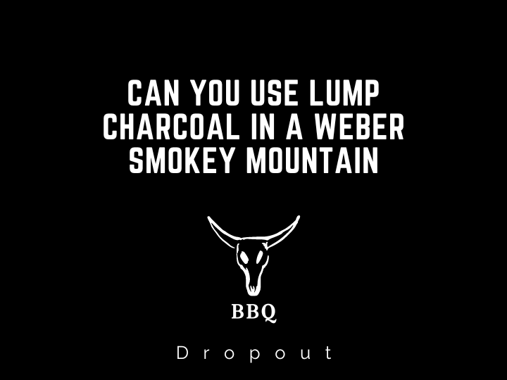 Can You Use Lump Charcoal In A Weber Smokey Mountain