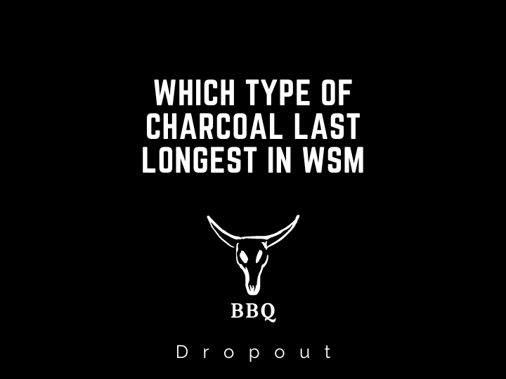 Which Type Of Charcoal Last Longest In WSM