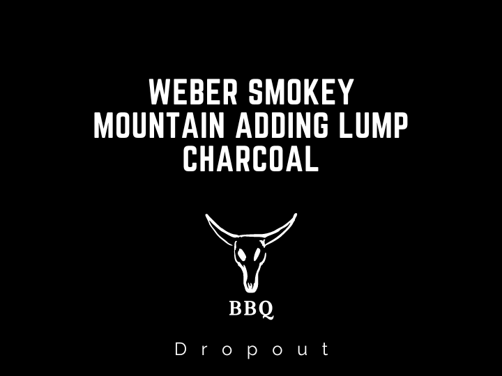Weber Smokey Mountain Adding Lump Charcoal
