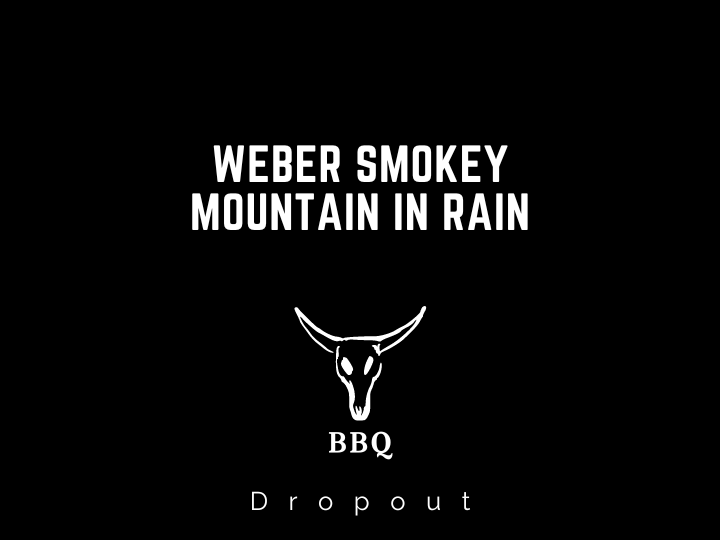 Weber Smokey Mountain In Rain