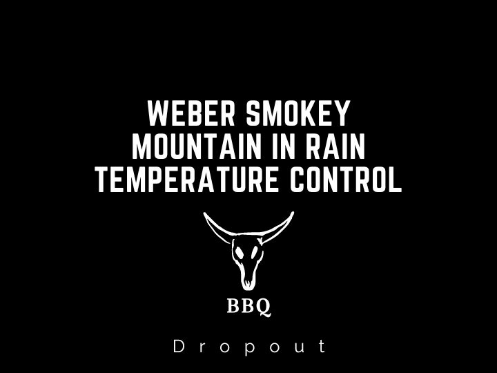 Weber Smokey Mountain In Rain Temperature Control