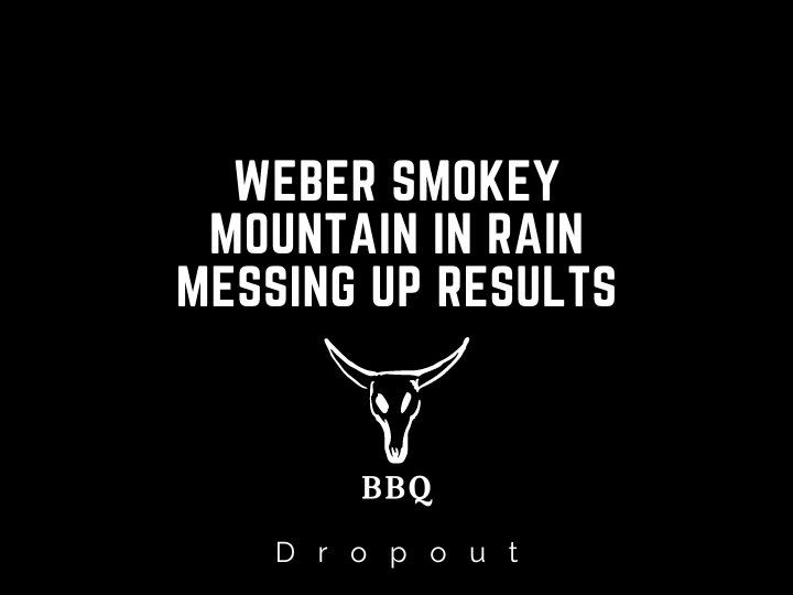 Weber Smokey Mountain In Rain Messing Up Results