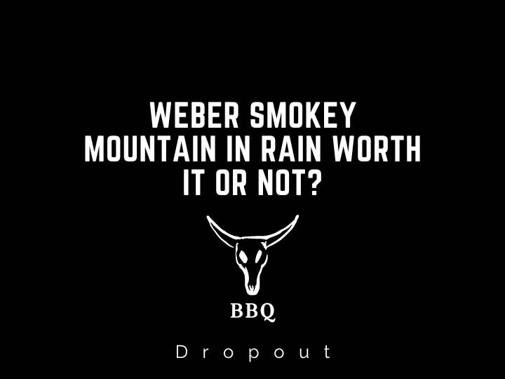 Weber Smokey Mountain In Rain Worth It Or Not?