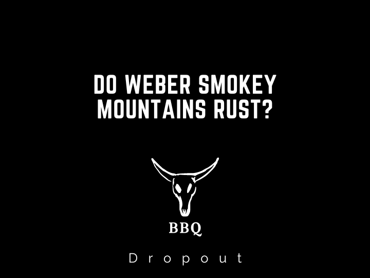Do Weber Smokey Mountains Rust?