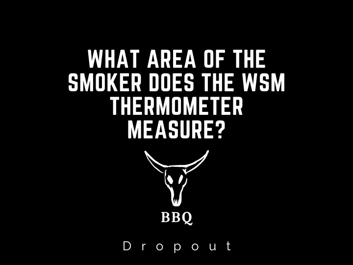 What Area Of The Smoker Does The WSM Thermometer Measure?