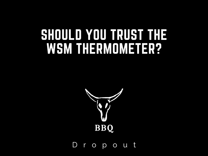 Should You Trust The WSM Thermometer?