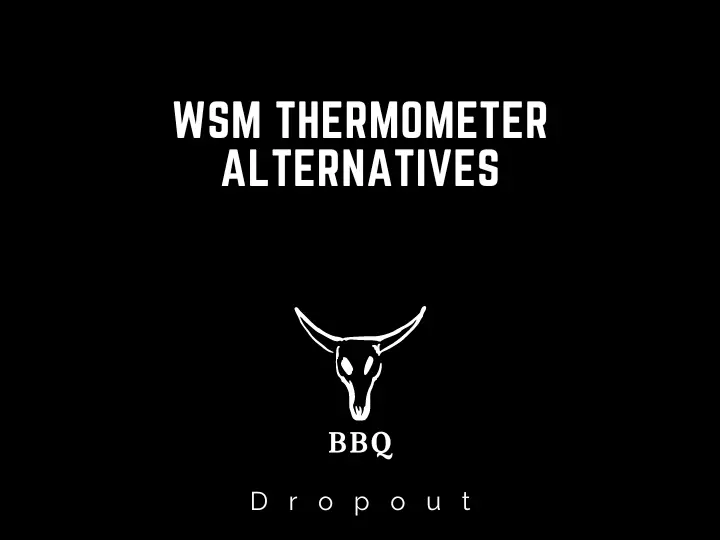 WSM Thermometer Alternatives