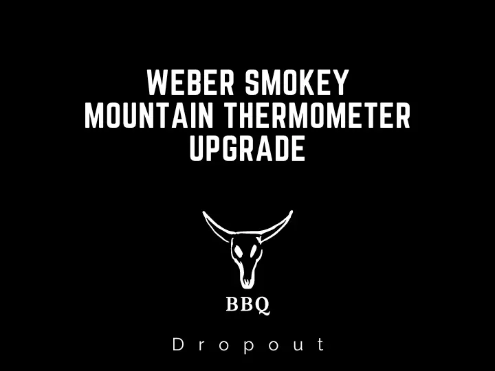Weber Smokey Mountain Thermometer Upgrade