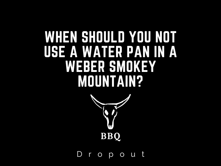 When Should You Not Use A Water Pan In A Weber Smokey Mountain?