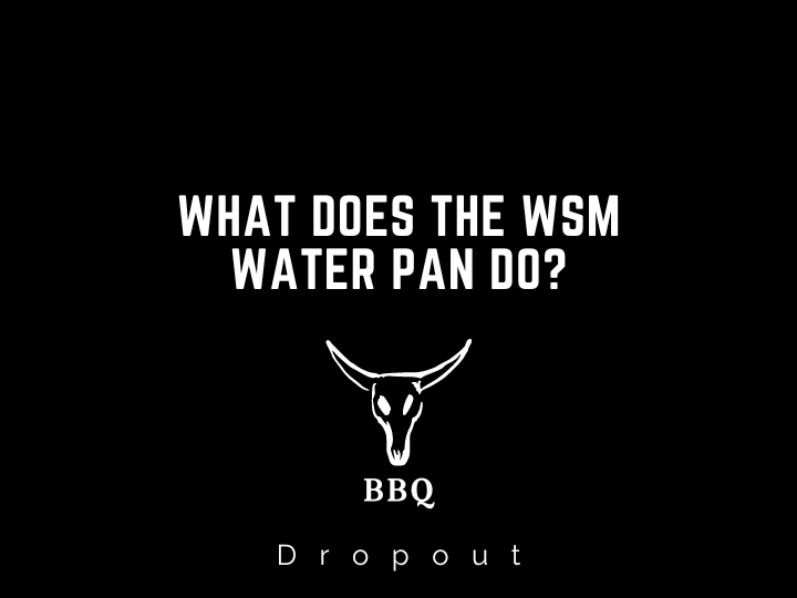 What Does The WSM Water Pan Do?