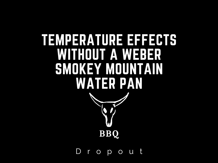 Temperature Effects Without A Weber Smokey Mountain Water Pan