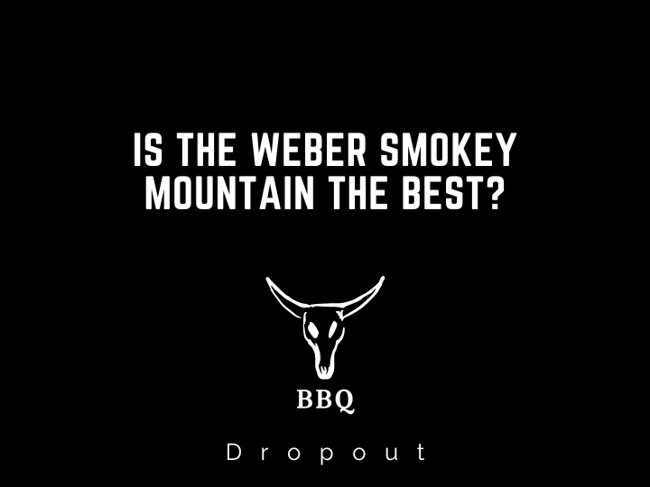 Is The Weber Smokey Mountain The Best?