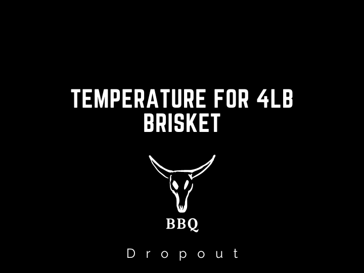 Temperature for 4lb Brisket