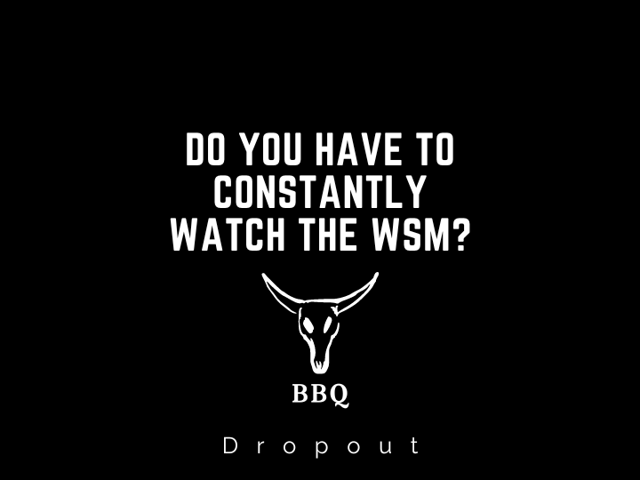 Do you have to constantly watch the WSM?