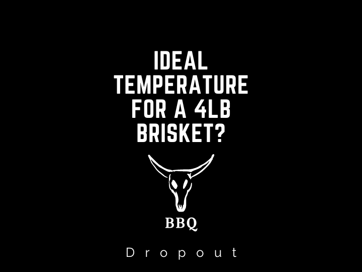 Ideal Temperature for a 4lb Brisket?