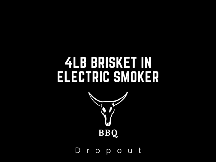4lb Brisket in Electric Smoker